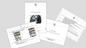 visuel fiches