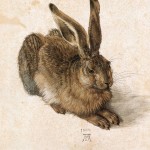 Albrecht Dürer, Le Lièvre,