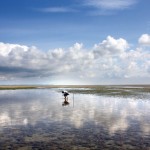 Le Wattenmeer (Deutsche Zentrale für Tourismus e.V., Fotographe : Panorama-Fotografie: Vernunft, Olaf