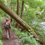 Chemin de randonnée de le long de la Bode en Saxe-Anhalt (Photo de Michael Fiegle)