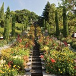 Les jardins fleuris de l'Ile de la Mainau