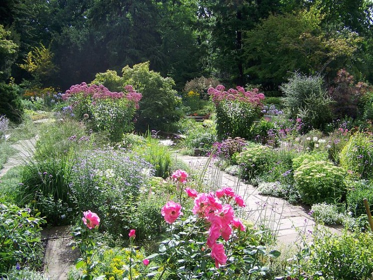Le Karl-Foerster-Garten à Potsdam-Bornim / Photo Wikicommons / Auteur Karstenknuth.